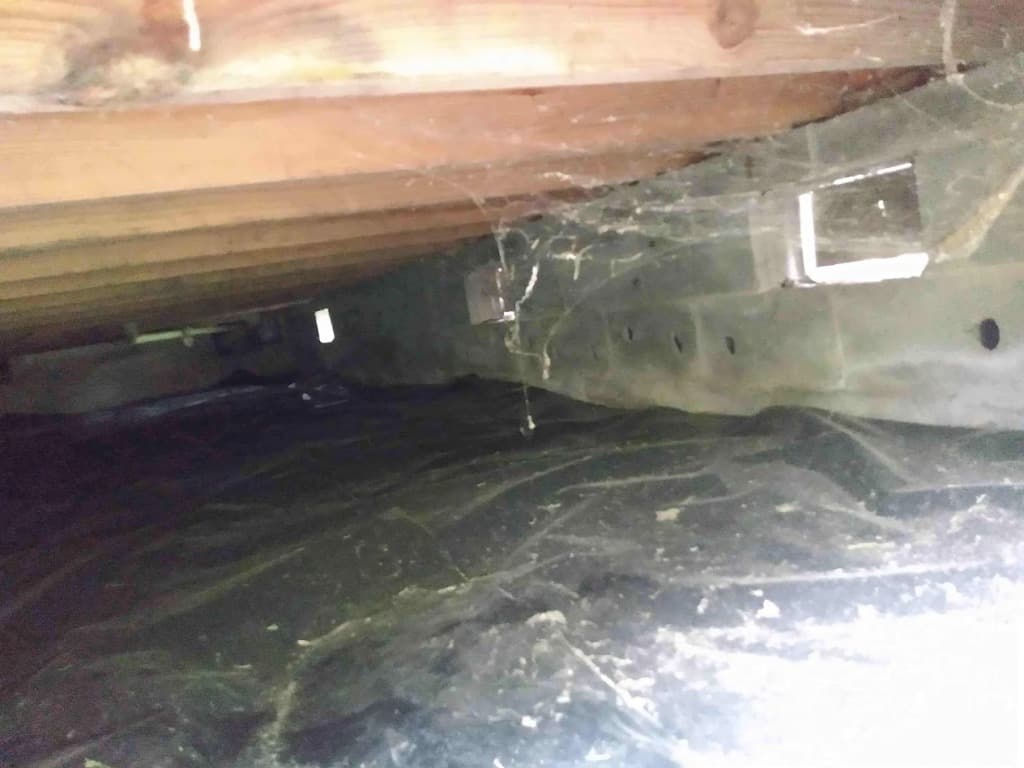 Crawlspace Inspection