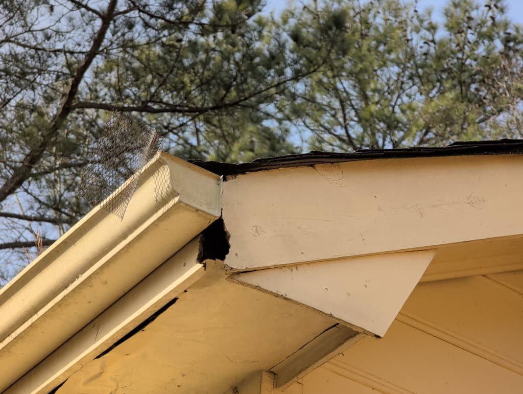 Damaged Roof and Gutter Inspection